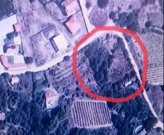 Земеделски имот в с. Ръждак, Област Благоевград -  кв.м за 0 €/дка - Снимка #1