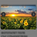 Земеделски имот в с. Александрия, Област Добрич -  кв.м за 969 €/дка - Снимка #1