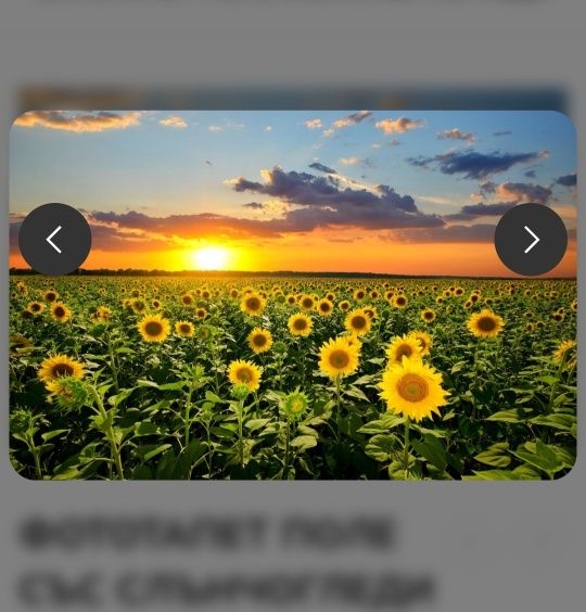 Земеделски имот в с. Александрия, Област Добрич -  кв.м за 969 €/дка - Снимка #1