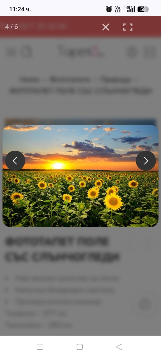 Земеделски имот в с. Александрия, Област Добрич -  кв.м за 969 €/дка - Снимка #1