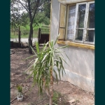 Къща в с. Писарово, Област Добрич - 120 кв.м за 149 €/кв.м - Снимка #1