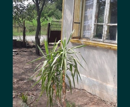 Къща в с. Писарово, Област Добрич - 120 кв.м за 149 €/кв.м - Снимка #1