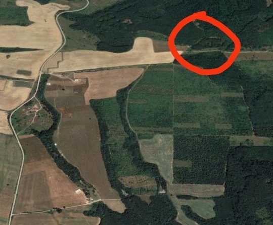 Земеделски имот в с. Шумата, Област Габрово -  кв.м за 1 €/дка - Снимка #1