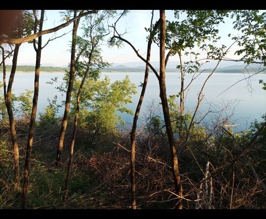 Парцел в Монтана, Парта 2 - 5021 кв.м за 18 €/кв.м - Снимка #1