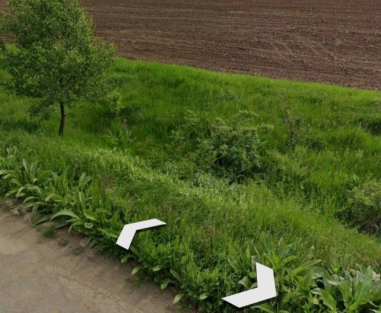 Земеделски имот в с. Саранци, Област София-област -  кв.м за 1718 €/дка - Снимка #1