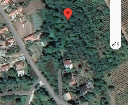 Парцел в с. Генерал Кантарджиево, Област Варна - 2000 кв.м за 6 €/кв.м - Снимка #1