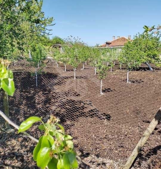 Парцел в с. Пещерско, Област Бургас - 1601 кв.м за 19 €/кв.м - Снимка #1