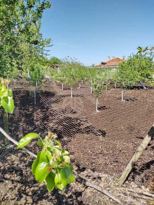 Парцел в с. Пещерско, Област Бургас - 1601 кв.м за 19 €/кв.м - Снимка #1