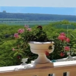 Парцел в с. Рогачево, Област Добрич - 500 кв.м за 64 €/кв.м - Снимка #1