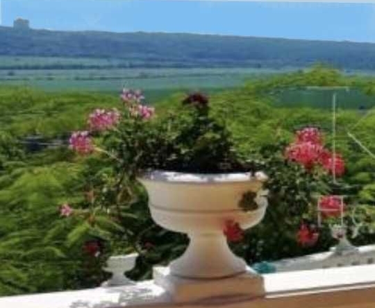 Парцел в с. Рогачево, Област Добрич - 500 кв.м за 64 €/кв.м - Снимка #1