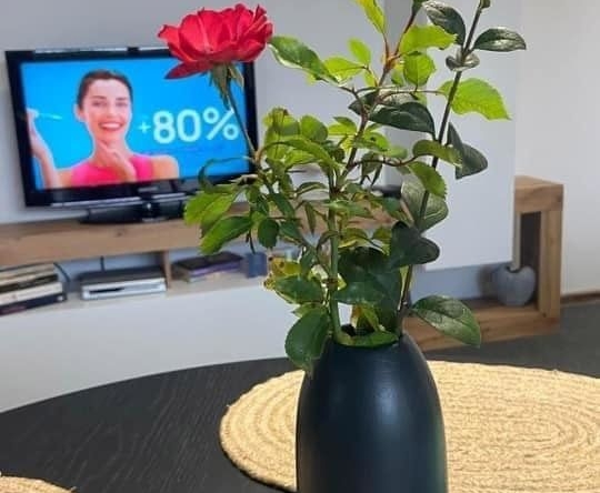 Дава се под наем Тристаен апартамент в Варна, м-т Евксиноград - 70 кв.м за 820 € - Снимка #1