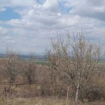 Парцел в Асеновград - 1268 кв.м за 6 €/кв.м - Снимка #1