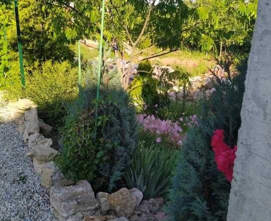 Къща в Варна, Център - 200 кв.м за 1365 €/кв.м - Снимка #1