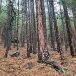 Къща в с. Мърчаево, Област София-град - 192 кв.м за 1089 €/кв.м - Снимка #1