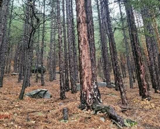 Къща в с. Мърчаево, Област София-град - 192 кв.м за 1089 €/кв.м - Снимка #1