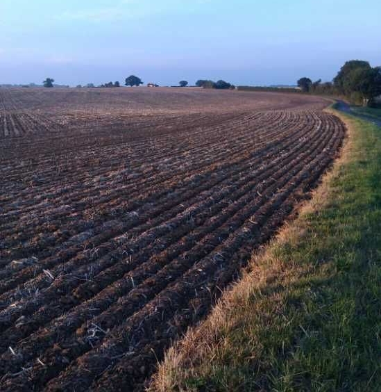 Земеделски имот в Аксаково -  кв.м за 906 €/дка - Снимка #1