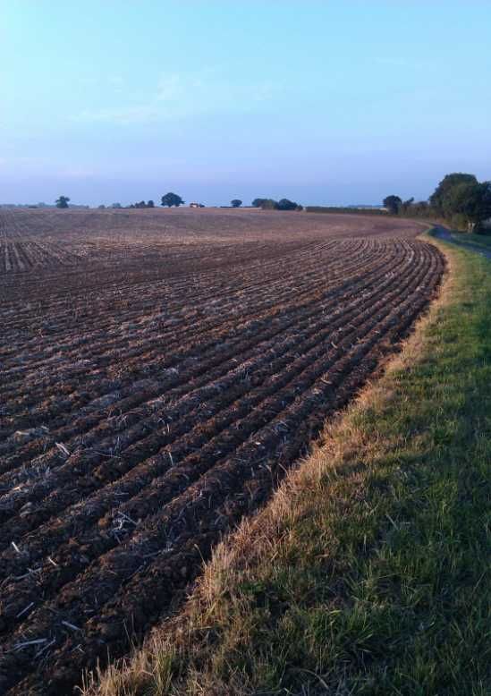 Земеделски имот в Аксаково -  кв.м за 906 €/дка - Снимка #1