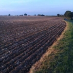 Земеделски имот в с. Николаевка, Област Варна -  кв.м за 638 €/дка - Снимка #1