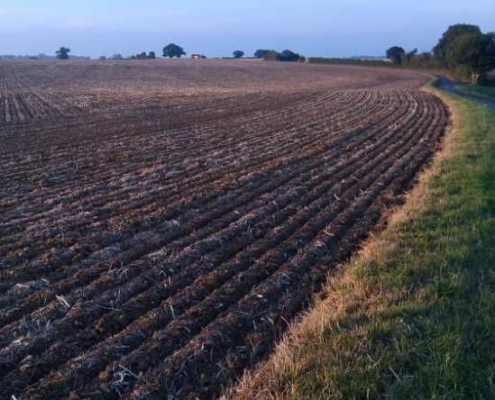 Земеделски имот в с. Николаевка, Област Варна -  кв.м за 638 €/дка - Снимка #1