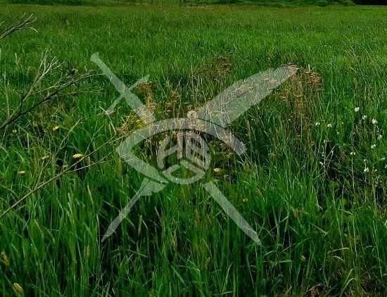 Парцел в с. Йоаким Груево, Област Пловдив - 7200 кв.м за 9 €/кв.м - Снимка #1