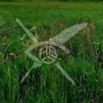 Парцел в Куклен - 2000 кв.м за 11 €/кв.м - Снимка #1