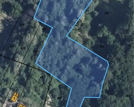 Земеделски имот в Габрово, Център -  кв.м за 7 €/дка - Снимка #1