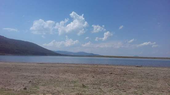 Земеделски имот в с. Рабиша, Област Видин -  кв.м за 4299 €/дка - Снимка #1