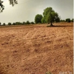 Земеделски имот в Варна, Автогара -  кв.м за 122 €/дка - Снимка #1