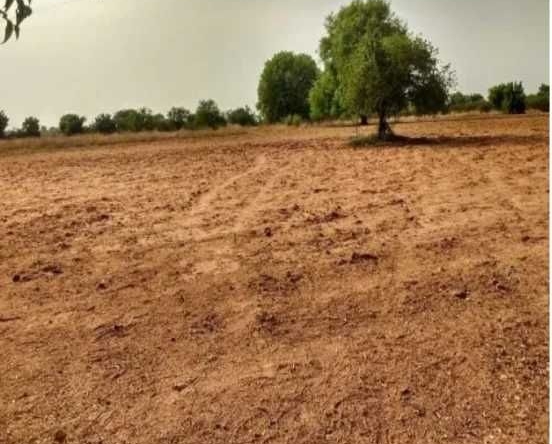 Земеделски имот в Варна, Автогара -  кв.м за 122 €/дка - Снимка #1