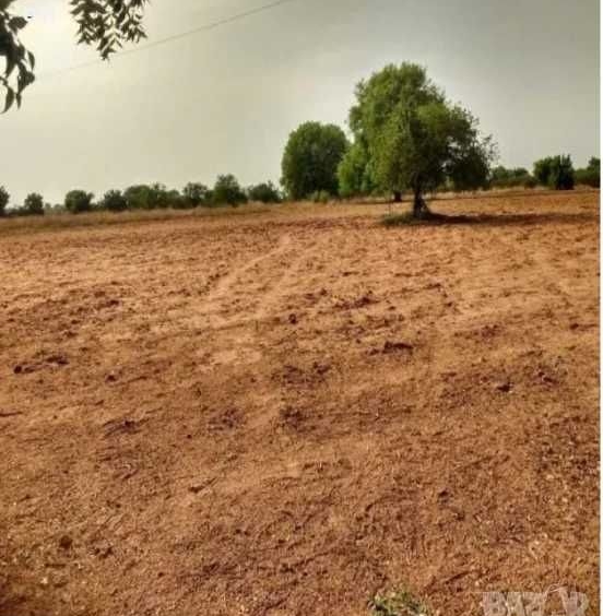 Земеделски имот в Варна, Автогара -  кв.м за 122 €/дка - Снимка #1