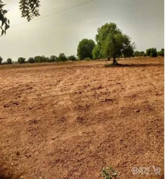 Земеделски имот в Варна, Автогара -  кв.м за 122 €/дка - Снимка #1