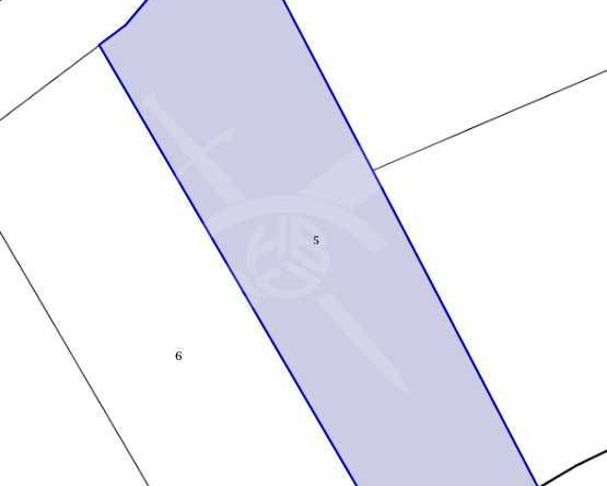 Парцел в с. Дебелт, Област Бургас - 8007 кв.м за 3 €/кв.м - Снимка #1