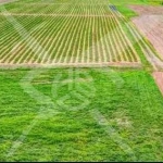 Парцел в Съединение - 21000 кв.м за 6 €/кв.м - Снимка #1