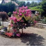 Парцел в с. Долище, Област Варна - 760 кв.м за 47 €/кв.м - Снимка #1