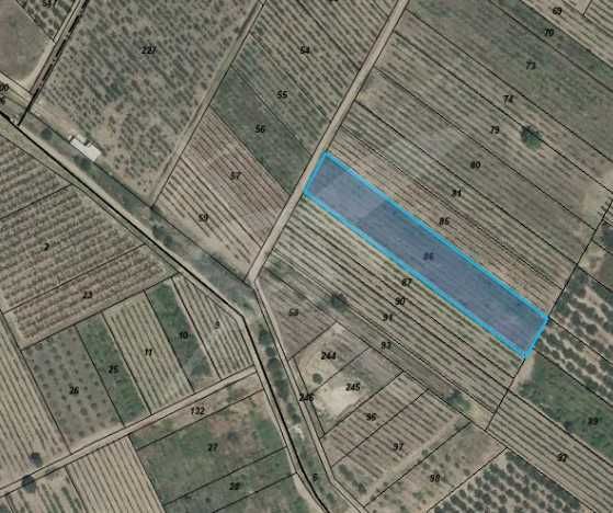 Земеделски имот в с. Брестник, Област Пловдив -  кв.м за 16150 €/дка - Снимка #1