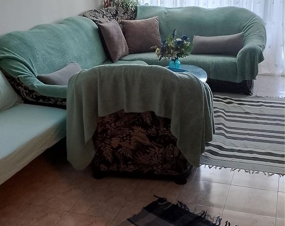 Дава се под наем Тристаен апартамент в Плевен, Дружба 1 - 84 кв.м за 318.75 € - Снимка #1