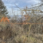 Парцел в с. Звездица, Област Варна - 600 кв.м за 29 €/кв.м - Снимка #1