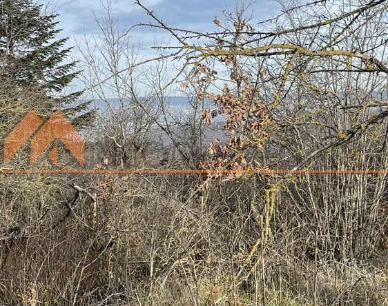 Парцел в с. Звездица, Област Варна - 600 кв.м за 29 €/кв.м - Снимка #1