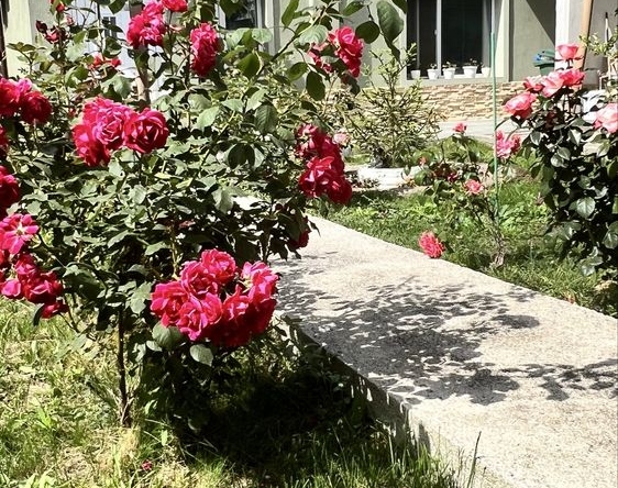 Къща в Елхово - 150 кв.м за 521 €/кв.м - Снимка #1