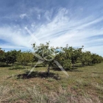 Земеделски имот в София, Хладилника -  кв.м за 3 €/дка - Снимка #1