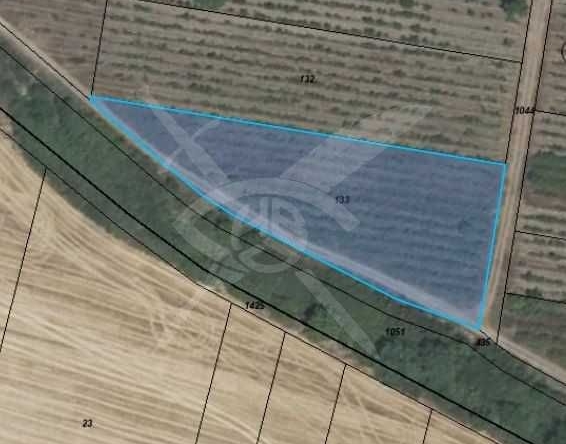 Парцел в с. Марково, Област Пловдив - 2732 кв.м за 40 €/кв.м - Снимка #1