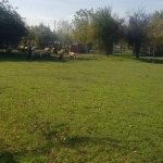 Парцел в Кюстендил, Бял камък - 4720 кв.м за 11 €/кв.м - Снимка #1