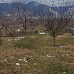 Парцел в Дупница - 2000 кв.м за 20 €/кв.м - Снимка #1