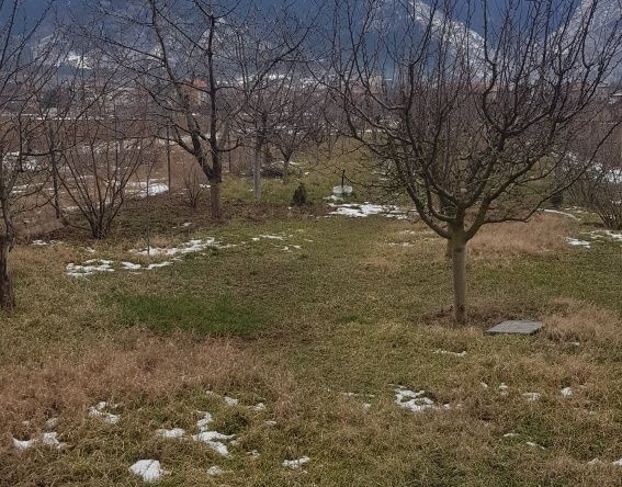 Парцел в Дупница - 2000 кв.м за 20 €/кв.м - Снимка #1