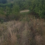 Земеделски имот в с. Дяково, Област Кюстендил -  кв.м за 1403 €/дка - Снимка #1