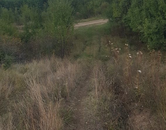 Земеделски имот в с. Дяково, Област Кюстендил -  кв.м за 1403 €/дка - Снимка #1