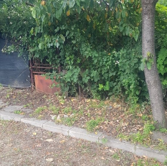 Парцел в Бобошево - 480 кв.м за 29 €/кв.м - Снимка #1