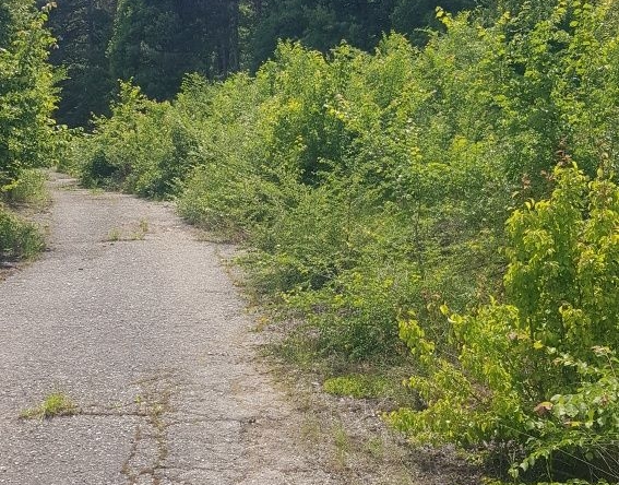 Парцел в Кюстендил, Център - 1430 кв.м за 77 €/кв.м - Снимка #1