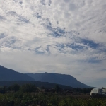 Парцел в с. Ресилово, Област Кюстендил - 400 кв.м за 32 €/кв.м - Снимка #1