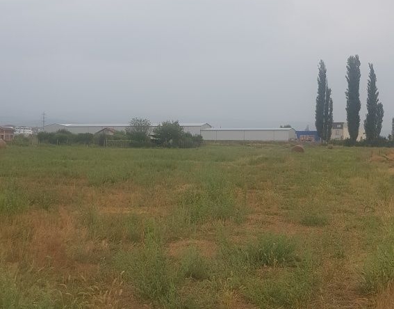 Парцел в Благоевград, Грамада - 1100 кв.м за 14 €/кв.м - Снимка #1